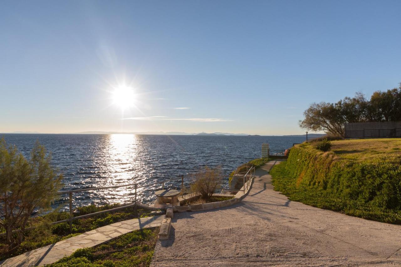 Luxurious Villa Philoxenia Lagonisi Esterno foto